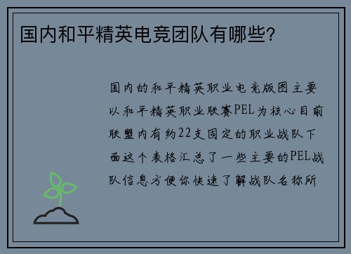 国内和平精英电竞团队有哪些？